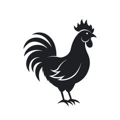 Fototapeta premium Rooster Stock Image – Isolated Poultry Bird for Commercial Use