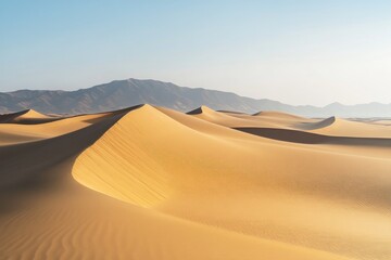 A desert landscape with endless sand dunes