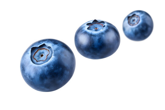 Three fresh blueberries in a row on transparent background