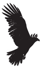 Obraz premium Hawks silhouette isolated in White background