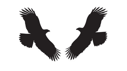 Fototapeta premium Hawks silhouette isolated in White background