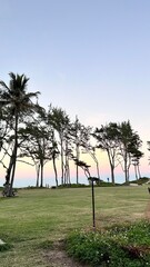 Fototapeta premium Evening sky over quiet beach trees