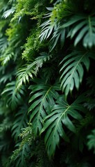 Fototapeta premium Close-up of green Monstera leaves and fern. Tropical nature background for wallpaper. Lush greenery leaves texture, natural background. Botanical beauty for design, ecology, eco projects.