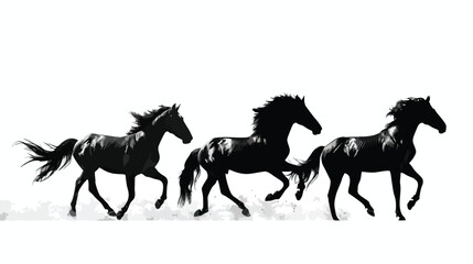 Horses silhouette isolated in White background