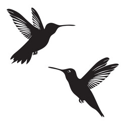 Obraz premium Hummingbirds silhouette isolated in White background