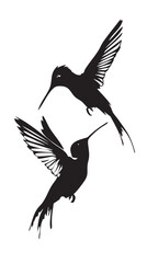 Obraz premium Hummingbirds silhouette isolated in White background