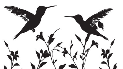 Obraz premium Hummingbirds silhouette isolated in White background