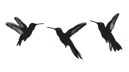Obraz premium Hummingbirds silhouette isolated in White background