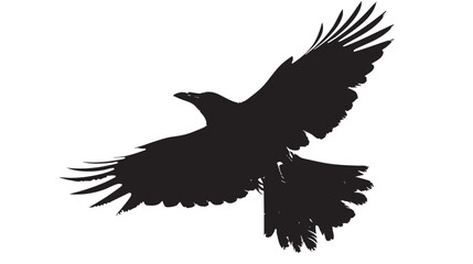 Obraz premium Isolated carrion crow in flight with fully open wings silhouette