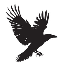 Obraz premium Isolated carrion crow in flight with fully open wings silhouette