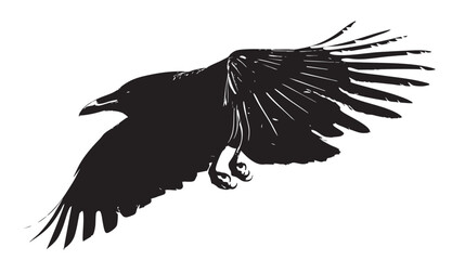 Fototapeta premium Isolated carrion crow in flight with fully open wings silhouette