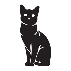 black cat on white background