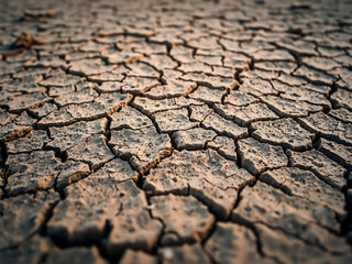 Desert Veins Texture