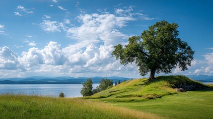 Fototapeta premium A scenic view of a large tree on a grassy hill overlooking a lake with cloudy blue sky above it all