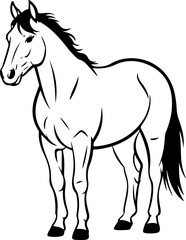 horse silhouette and line art vector design