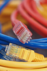 Colorful network cables intertwined on a surface