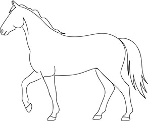 horse silhouette and line art vector design