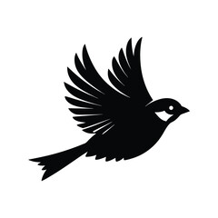Obraz premium sparrow in flight with feathers trailing silhouette