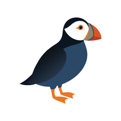 Naklejka premium Atlantic puffin vector
