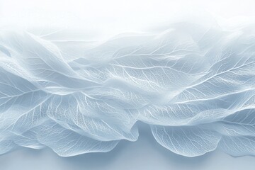 Delicate Translucent Leaves with Intricate Vein Patterns on Light Gray Background