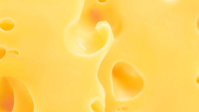 Processed texture of radomer or maasdam yellow cheese or butter with large holes close up. Detailed photo of cheese surface in macro