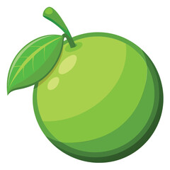 Whole Green Lime Illustration.