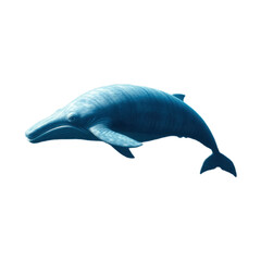 Fototapeta premium dolphin with transparent background PNG and JPEG image 