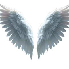 wings with transparent background PNG and JPEG image	