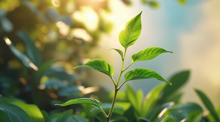 green leaves on a sunny day