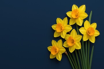 Naklejka premium Yellow Daffodils on Dark Blue Background Spring Floral Arrangement Still Life Design
