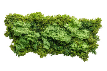 Obraz premium Green moss texture patch isolated on transparent background