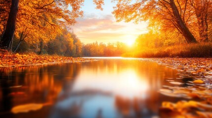 Obraz premium Peaceful Autumn River Sunset: Golden and Orange Leaves Reflecting in Calm Water