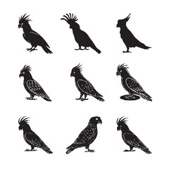 bird vector image 4