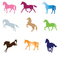 Vector colours horse