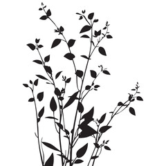 Small leaf plant silhouette pattern wallpaper. Black and white. minimal artwork. simple template. tattoo design. card and package. Vector illustration.