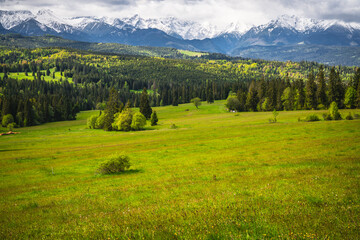 Obraz premium View from the Pass over Łapszanka in Poland