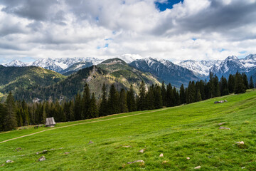 Obraz premium Rusinowa Polana in the Polish Tatra Mountains