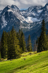 Rusinowa Polana in the Polish Tatra Mountains © LCH photo gallery