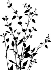 Small leaf plant silhouette pattern wallpaper. Black and white. minimal artwork. simple template. tattoo design. card and package. PNG tranparent.