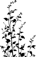 Small leaf plant silhouette pattern wallpaper. Black and white. minimal artwork. simple template. tattoo design. card and package. PNG tranparent.