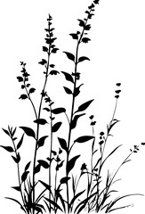 Small leaf plant silhouette pattern wallpaper. Black and white. minimal artwork. simple template. tattoo design. card and package. PNG tranparent.