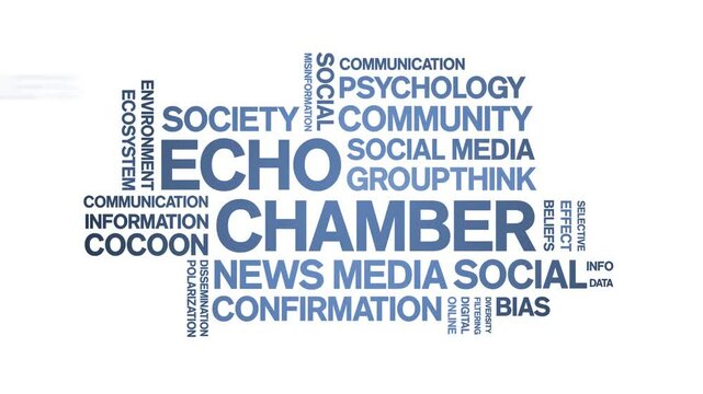 Echo Chamber animated word cloud;text design animation tag kinetic typography seamless loop.