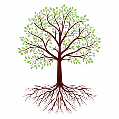vector tree isolated on white background
