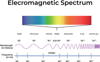 Electromagnetic Spectrum Visualization Vector Illustration