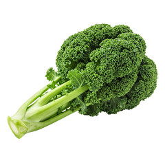 Bunch of fresh mustard greens (gwangtung) on transparent background, perfect for vegetable packaging, clean food branding, and farm graphics.