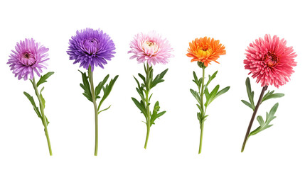 Golden Marigold, Red Rose & Pink Carnation