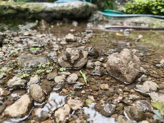 Rock and wather