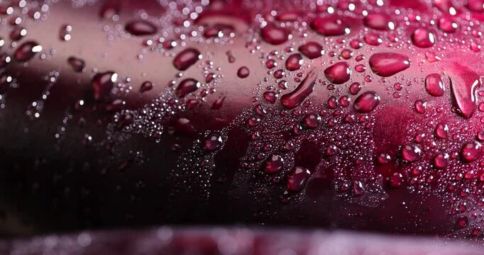 one eggplant covered with drops of water , ripe eggplant on the table before cooking, closeup