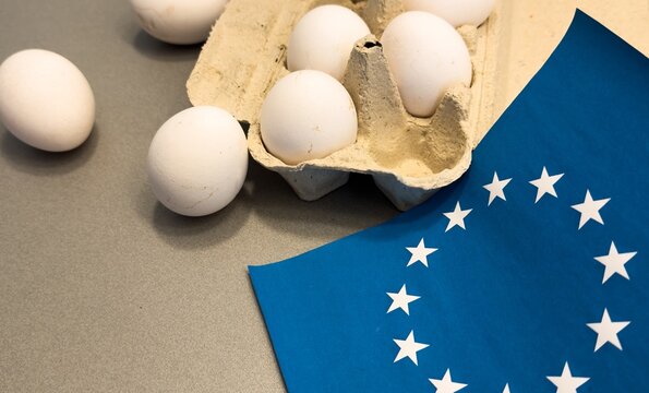  egg with european union flag