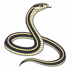 Striped racer snake, slender and swift, bearing a band of yellow stripes on its dark, thin body